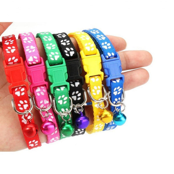 Coleiras ajustáveis PETS